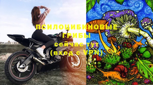 соль курить ск Бородино