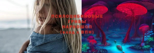 соль курить ск Бородино