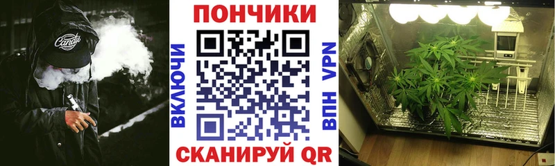 кракен как зайти  Челябинск  МАРИХУАНА ГИДРОПОН 